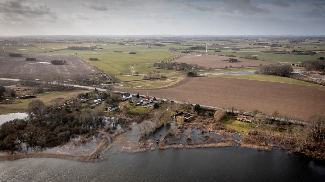 Når vi giver mere plads til naturen, får vi samtidigt gavn af naturens evne til at forsinke vand, svække bølger fra stormfloder og reducere temperaturen ved varmebølger, skriver Amanda Fehler Vallgårda.