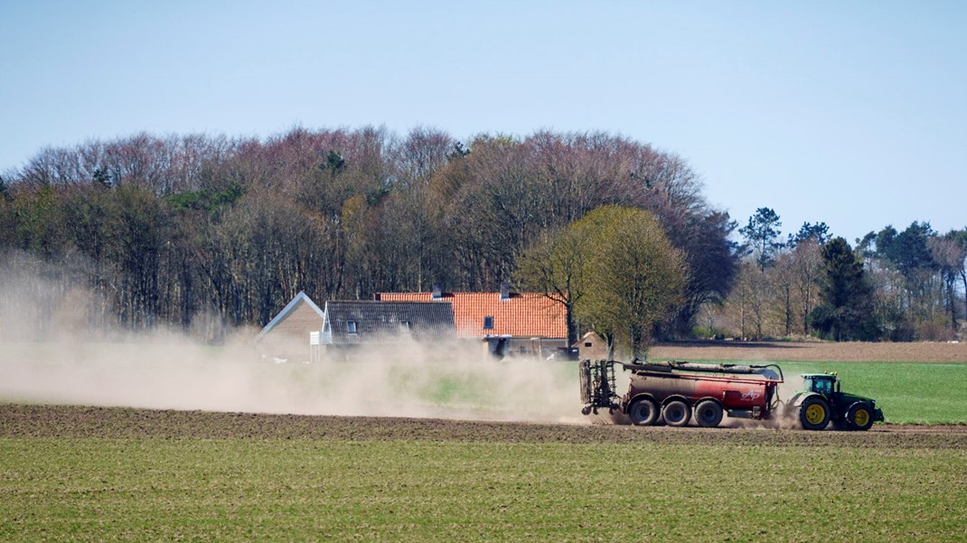 Dyr og marker er to sider af samme sag, og derfor bør CO2-afgift og kvælstofregulering tænkes sammen, lyder det fra de økonomiske vismænd.