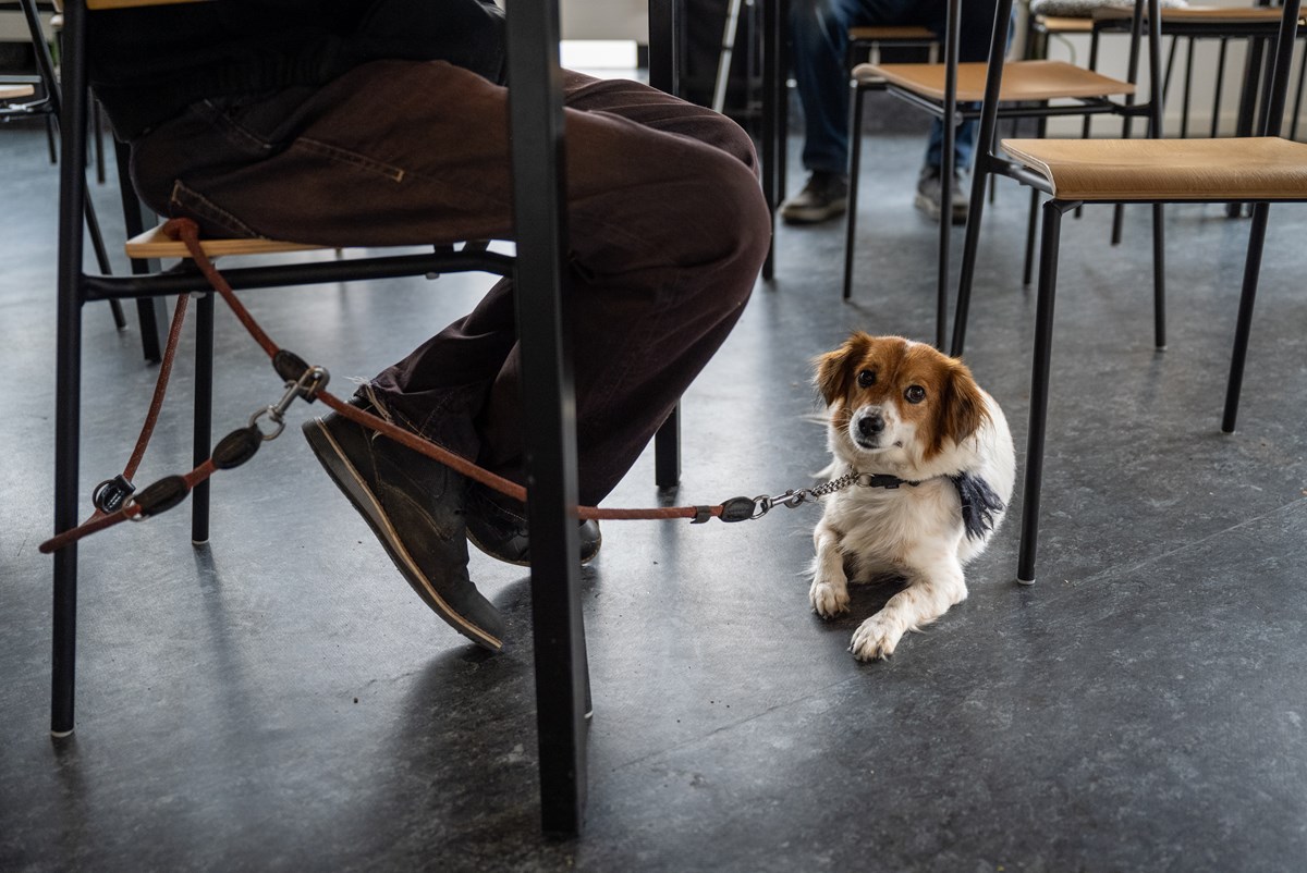 Også brugeres firbenede venner er velkomne på varmestuen. Der er også små poser med hundemad lagt frem til dem ved menneskebuffeten. 