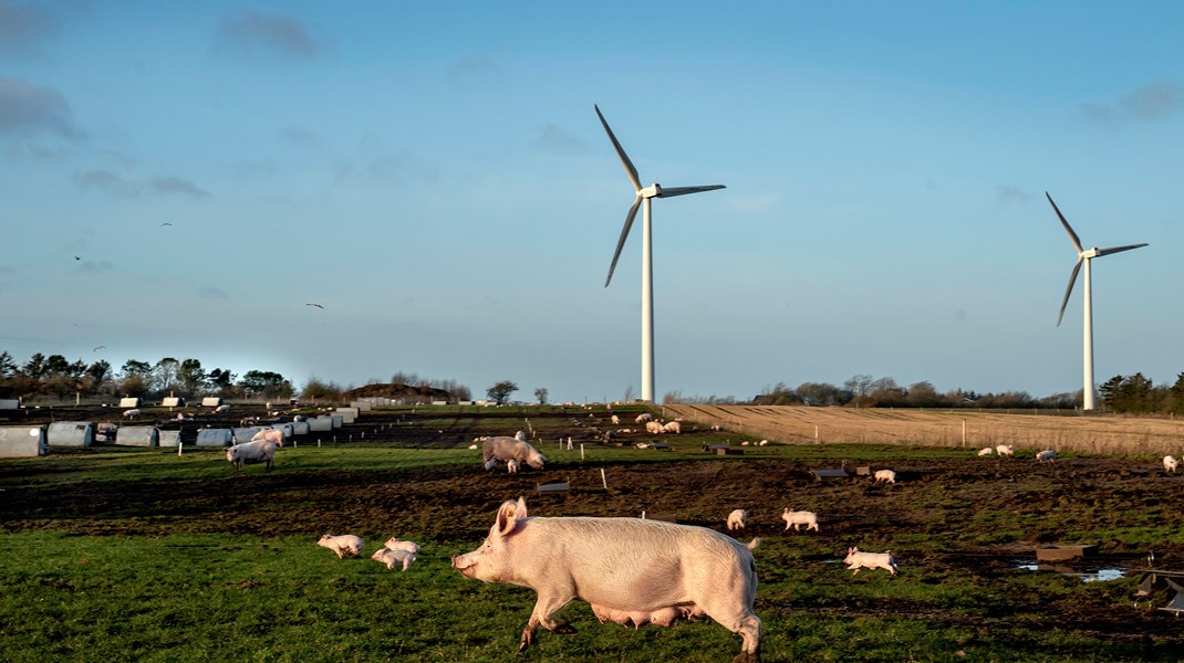 Der starter en ny periode for den fælles landbrugspolitik i 2028, og der skal vedtages et nyt EU- budget. Så der er rigeligt at tage sig til på landbrugsområdet for de nyvalgte danske medlemmer i Europa-Parlamentet, skriver Sybille Kyed.