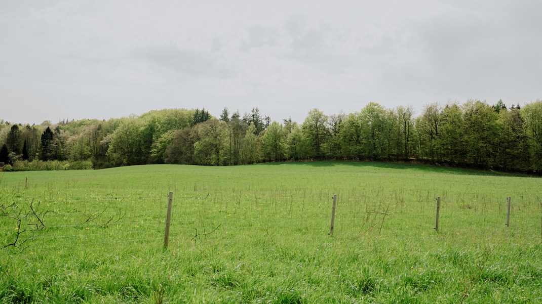 Danmarks Naturfredningsforening henter nye kræfter hos Landbrugsstyrelsen