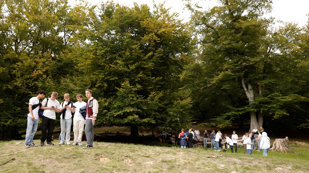 Ved at tage vores relation til naturen alvorligt og gøre det til en del af den almendannelse, man tilegner sig i forbindelse med de tre år i gymnasiet, bibringer vi de kommende generationer en følelse af forbundethed til naturen, skriver Maja Bødtcher-Hansen