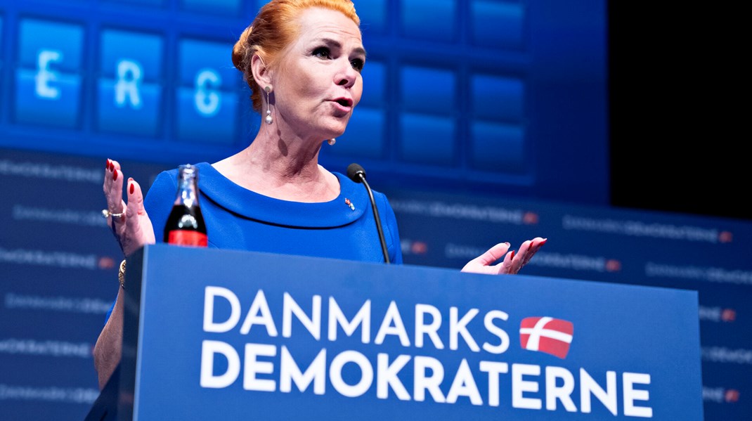 Danmarksdemokraterne med Inger Støjberg i front opruster internt med Mads Wibeck-Nilsson som ny politisk chef. 