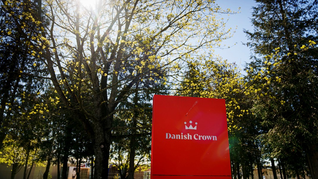 Tidligere rådgiver for Søren Pape Poulsen er blevet ansat hos Danish Crown.