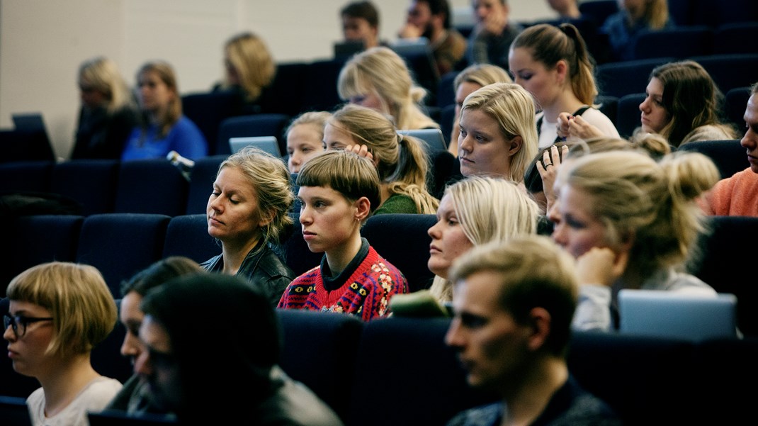 Sproglig og kulturel ekspertise er lige så kritisk infrastruktur for en virksomhed eller et land som strømkabler, skriver Lisbeth Verstraete-Hansen.