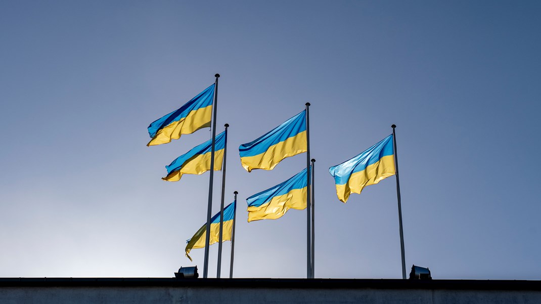 Udenrigsministeriet ansætter Ukraine-rådgiver