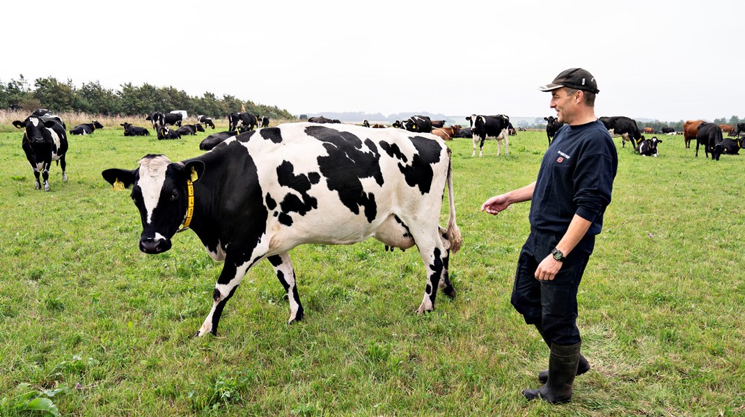 Kras kritik af EU’s landbrugsstøtte til økologi - pengene bliver brugt forkert, og det går for langsomt