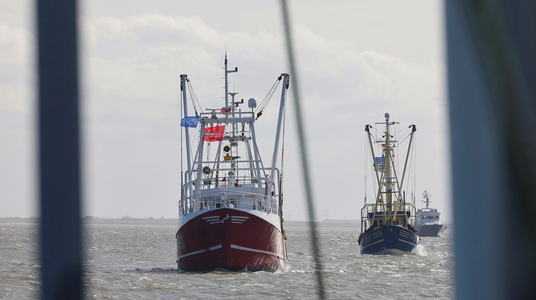 Heunicke om omstridt trawl-rapport: Det er ikke ministeriets opgave at lave kvalitetstjek af forskning