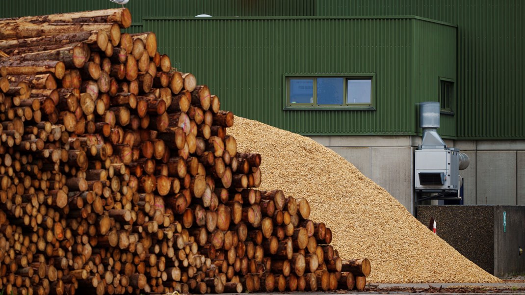 Regeringen afviser klimaeksperters anbefaling om en strategi for biomasse